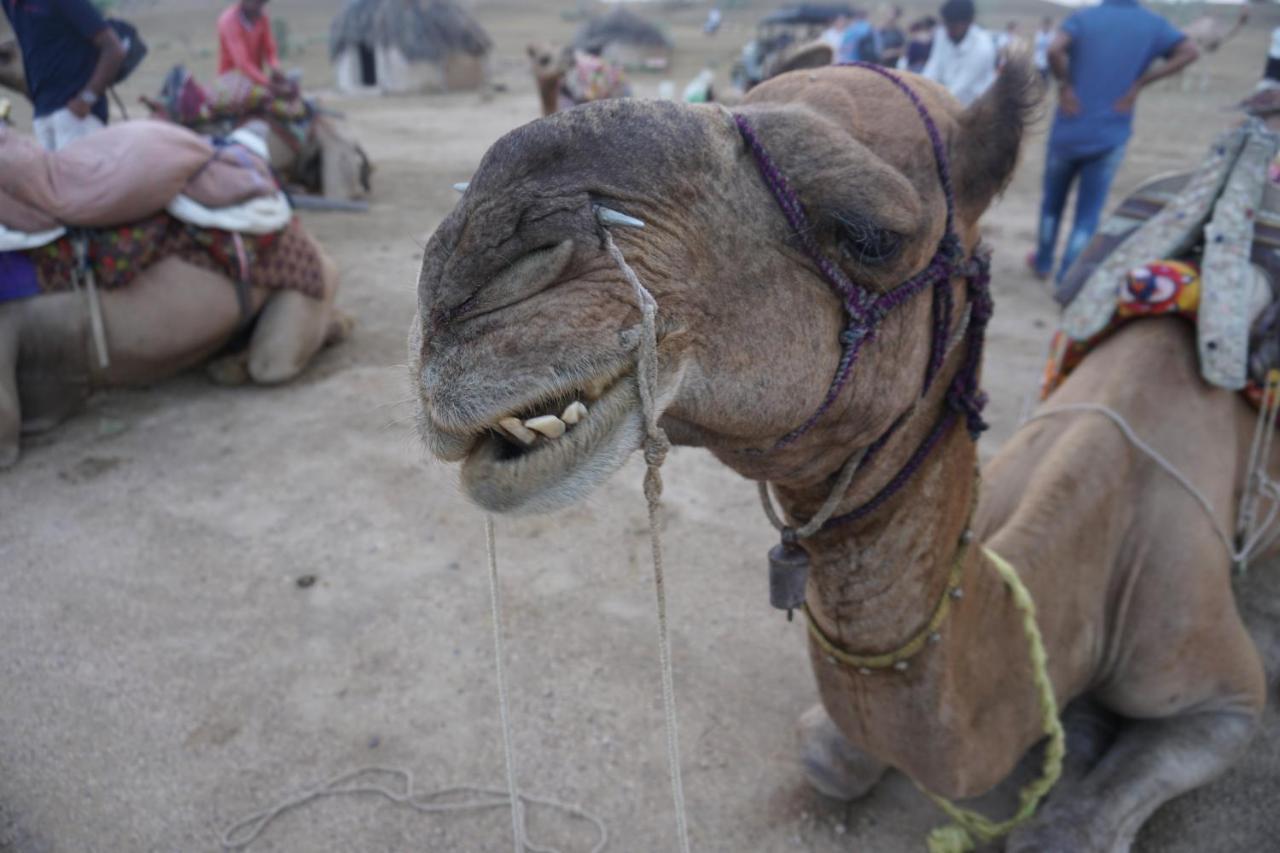 Journey Desert Camp جيلسامر المظهر الخارجي الصورة