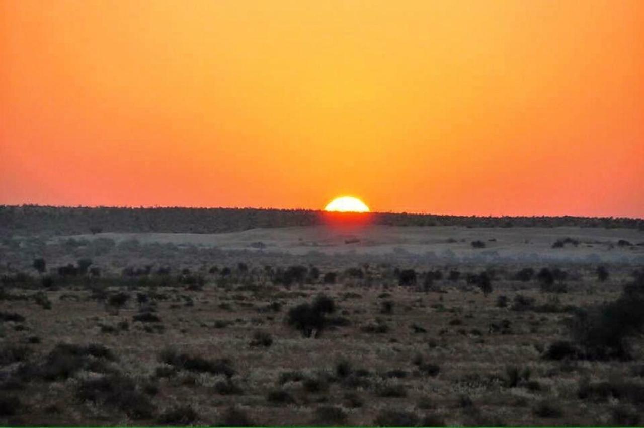 Journey Desert Camp جيلسامر المظهر الخارجي الصورة